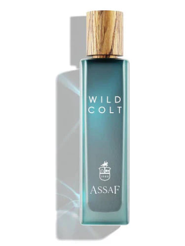 Wild Colt Assaf – وايلد كولت أساف