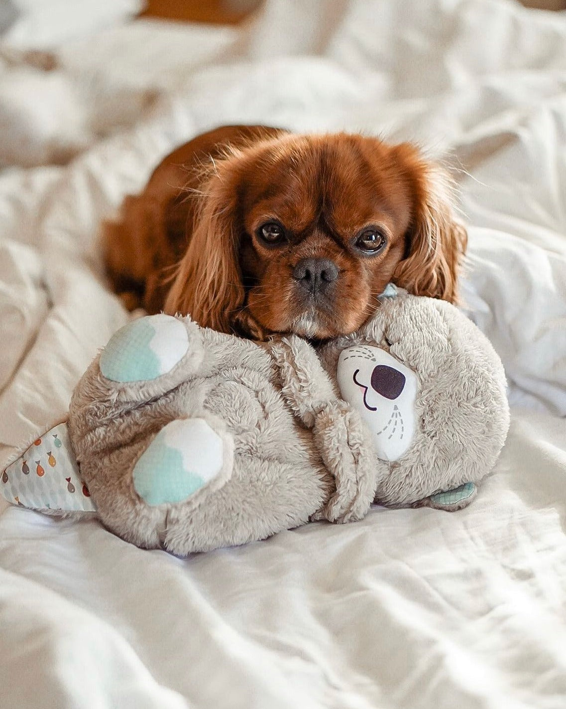 Breathing Otter Teddy